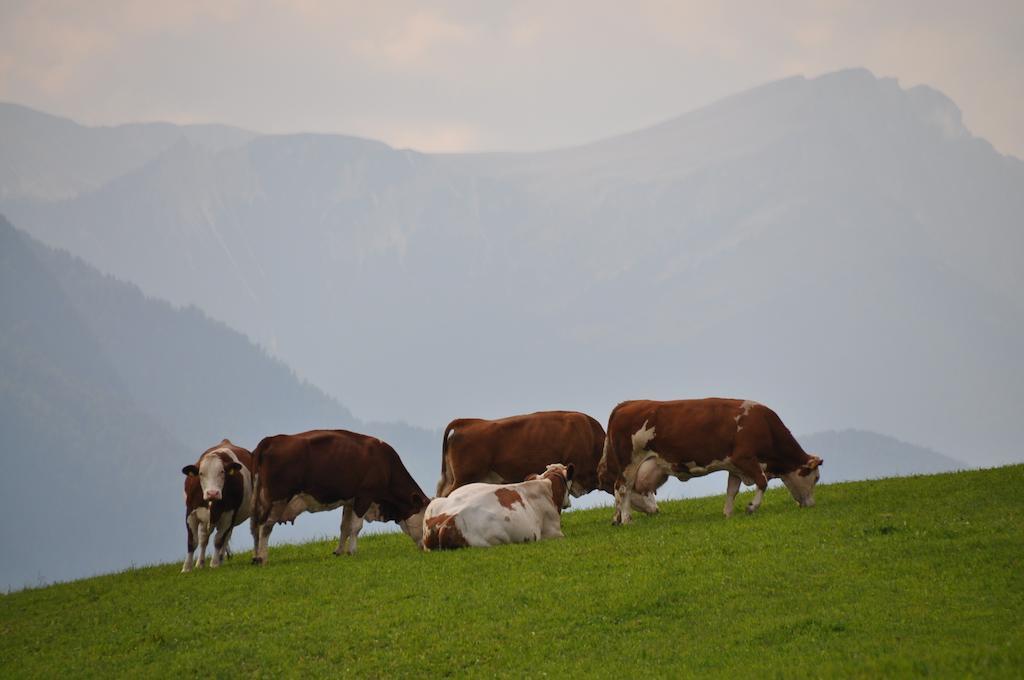Galler Am Berg Innichen Exteriör bild